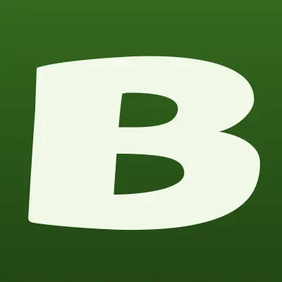 БсВ, строительная компания, лого-визитка