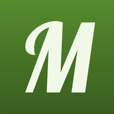Махаон, рекламное агентство, лого-визитка