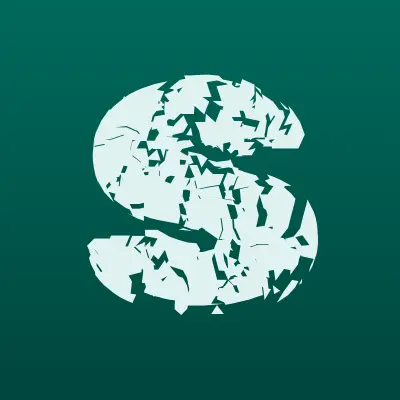 Сорока, магазин сумок и бижутерии, лого-визитка